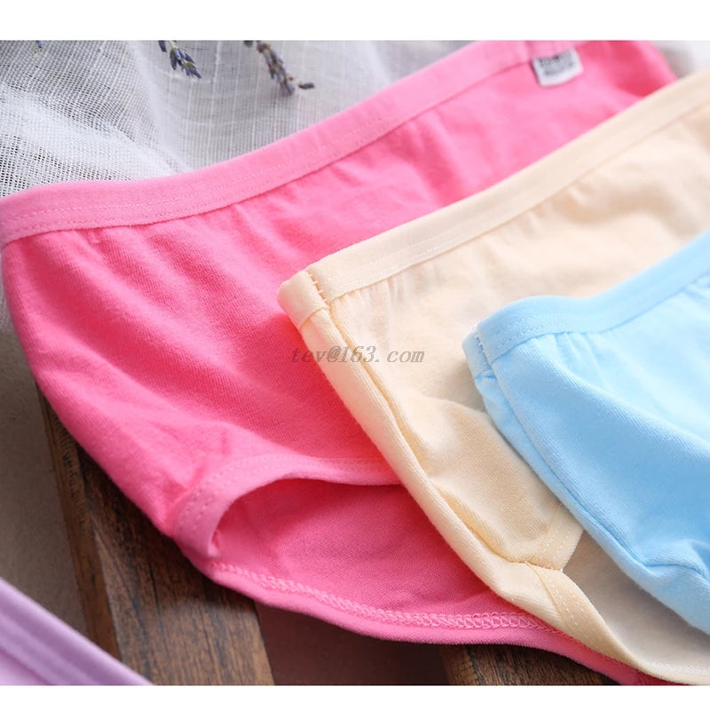 Low Waist Underwear Panties San Remo