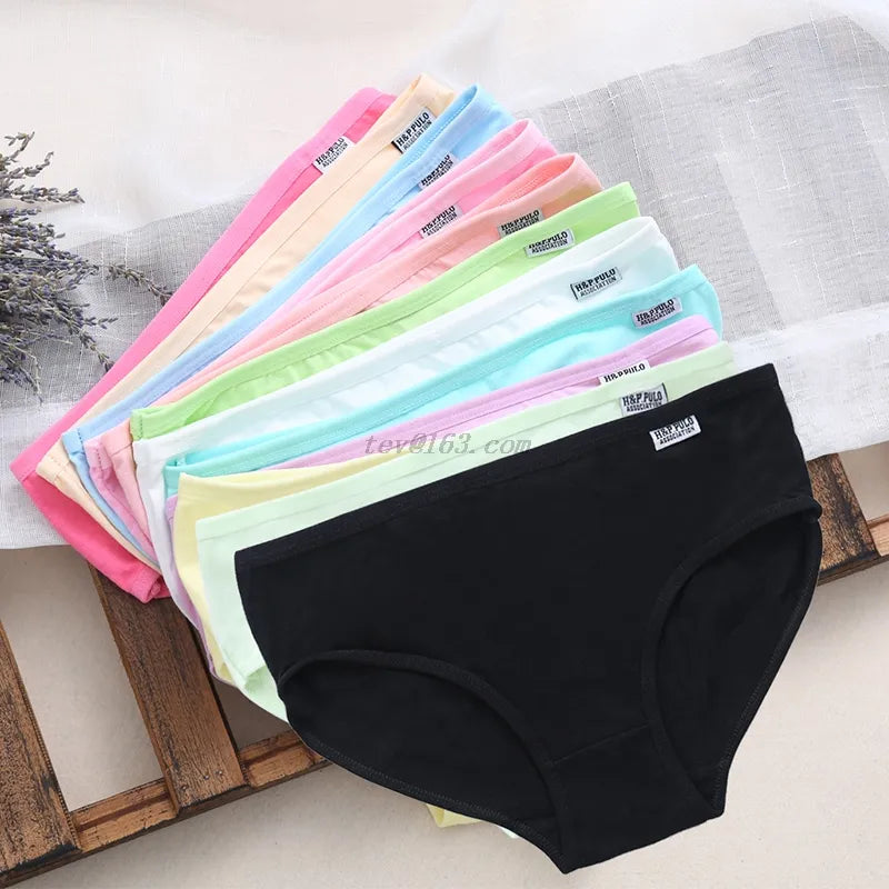 Low Waist Underwear Panties San Remo