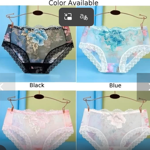 Women Lace Embroidery Panties Briefs