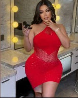 Mesh Hollow Out Fitted
Mini Dress One Size Sleeveless Bodycon